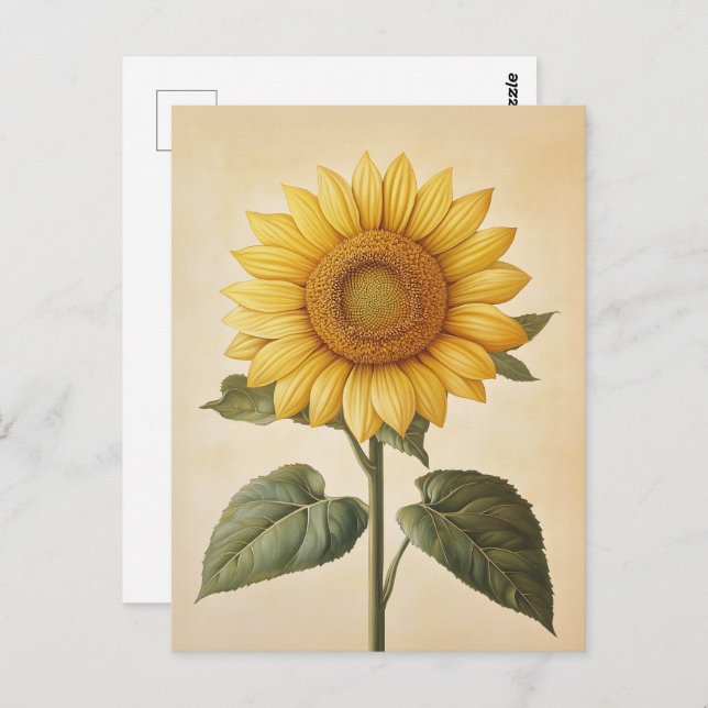 Sunflower Yellow Watercolor Background Postcard (Front/Back)