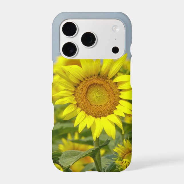 Sunflowers (Back)