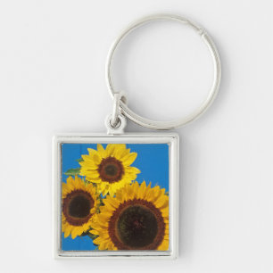 Sunflowers against blue fence key ring