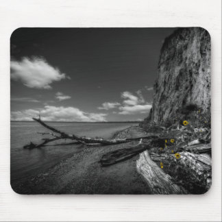 Sunflowers along the Missouri River Mouse Pad