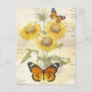 Sunflowers and butterfly postcard