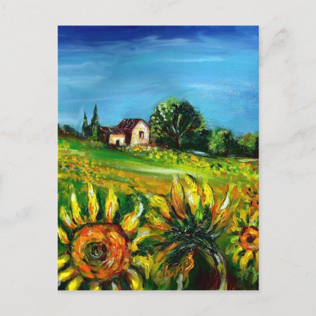 SUNFLOWERS AND COUNTRYSIDE IN TUSCANY POSTCARD (Front)