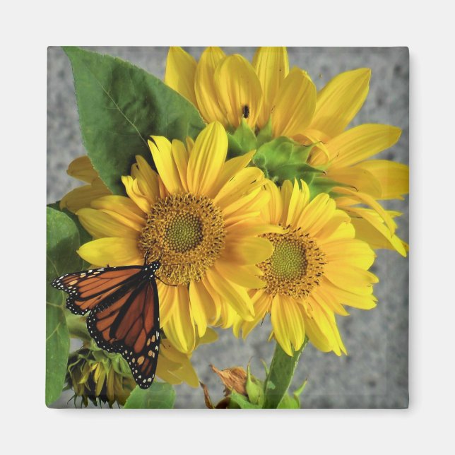 Sunflowers and Monarch Butterfly Fridge Magnet (Front)