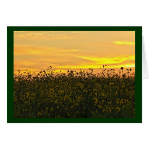 Sunflowers at Dusk