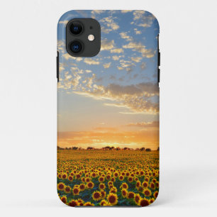 Sunflowers at Sunset Case-Mate iPhone Case