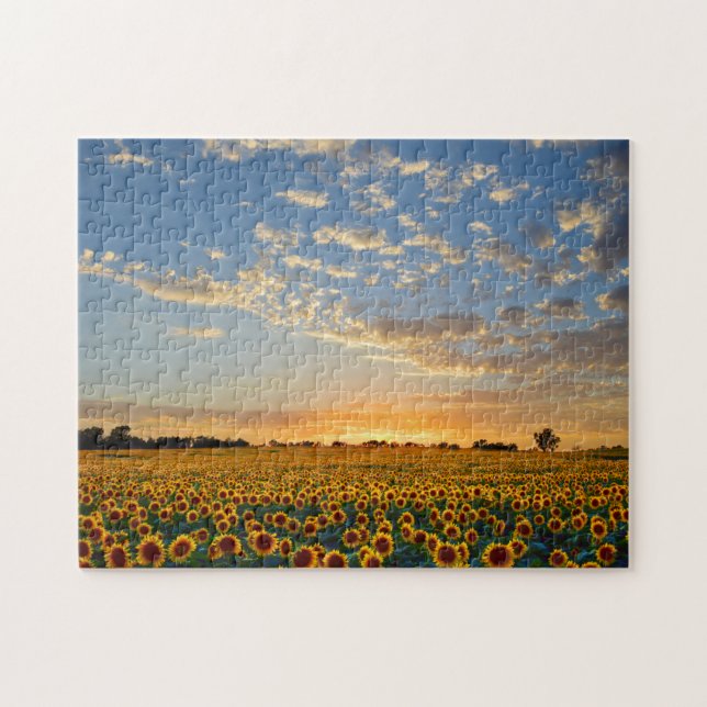 Sunflowers at Sunset Jigsaw Puzzle (Horizontal)