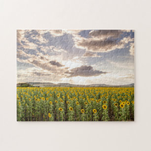 Sunflowers at Sunset Jigsaw Puzzle