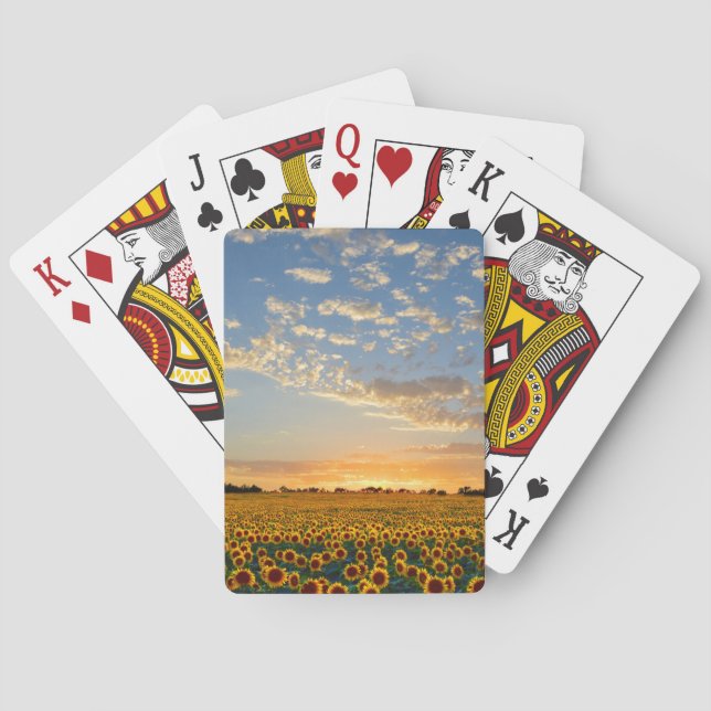 Sunflowers at Sunset Playing Cards (Back)