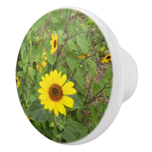 Sunflowers Blowing In The Wind, Ceramic Knob