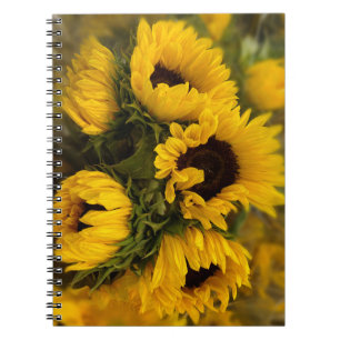 Sunflowers Blur Notebook