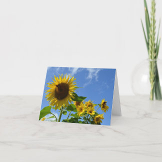 Sunflowers & Butterflies Card