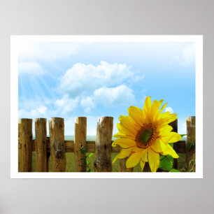 Sunflowers by a Fence under Blue Sky Poster