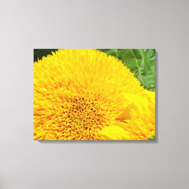 Sunflowers Canvas Art Prints panels Yellow Flowers (Front)