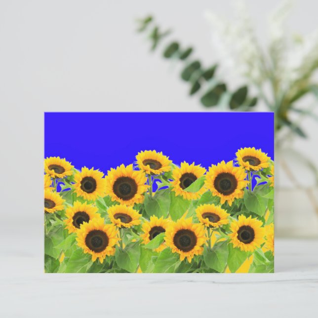 Sunflowers Card Ukrainian Flag Colours - Freedom (Standing Front)