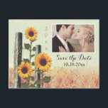 Sunflowers Carved Fence Save the Date Postcards<br><div class="desc">Photo Sunflowers Carved Fence Post Save the Date Postcards - customise to a photo of your very own.  Features a vintage wheat field background with sunflowers surrounding a small rustic fence that you can carve initials into.  See matching design products in the collection on this page.</div>