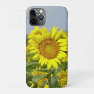 Sunflowers Case-Mate iPhone Case
