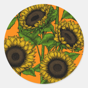 Sunflowers Classic Round Sticker