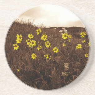 Sunflowers Coaster