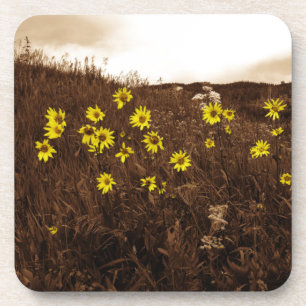 Sunflowers Coaster
