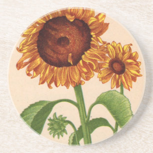 sunflowers coaster
