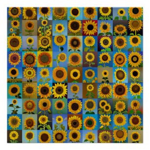 Sunflowers collage poster