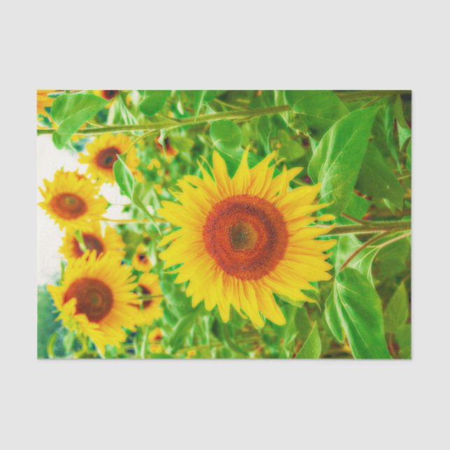 Sunflowers Country Yellow Green Floral Decoupage Tissue Paper (Front)