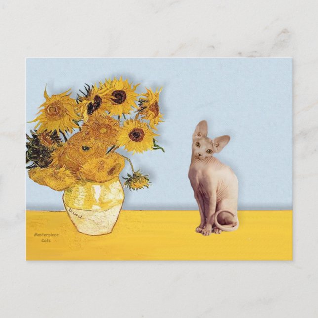 Sunflowers - Cream Sphyx cat Postcard (Front)