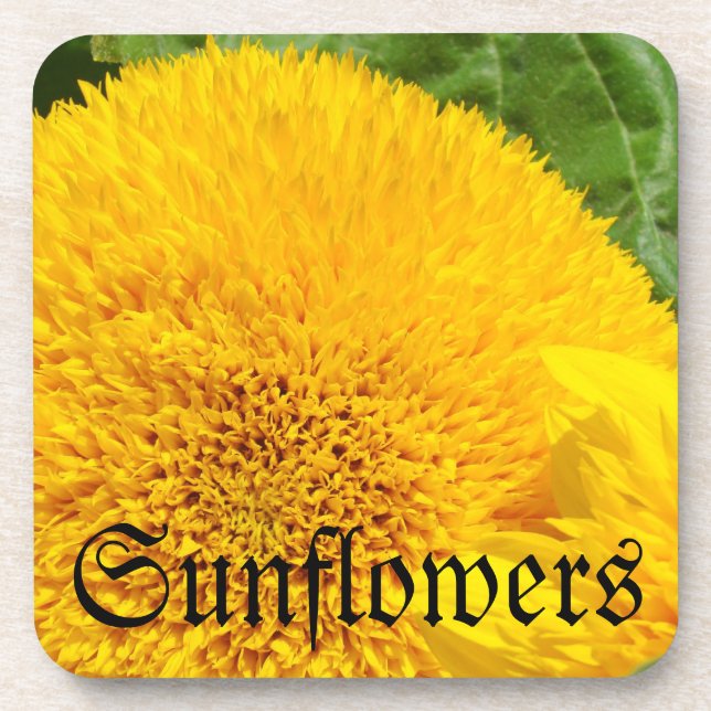 Sunflowers drink Coasters set Holidays Sun Flowers (Front)
