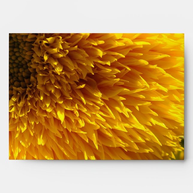 Sunflowers Envelopes Bright Yellow Greeting Cards (Front)