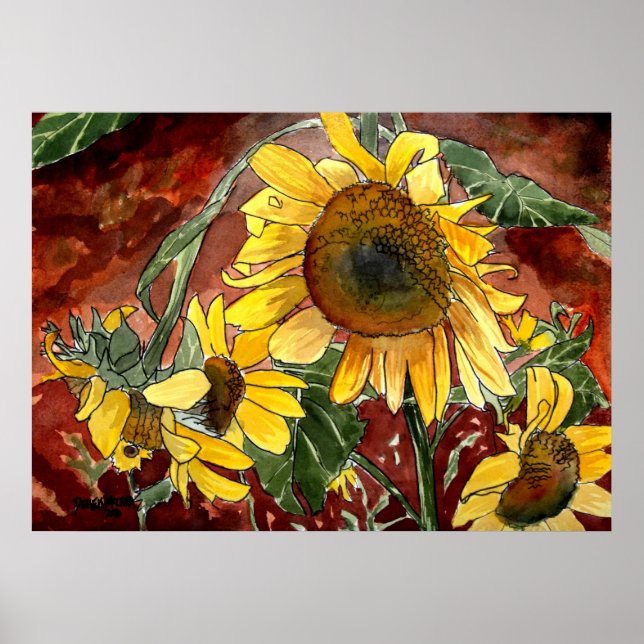 sunflowers flower art prints (Front)