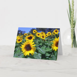 Sunflower's for Mum Card