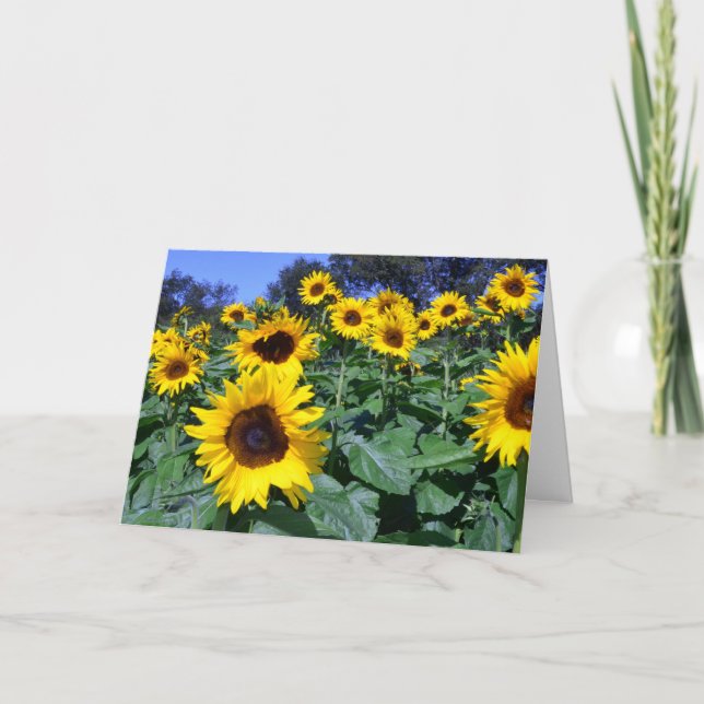Sunflower's for Mum Card (Front)