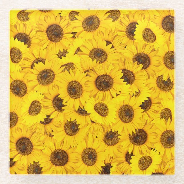 Sunflowers Glass Coaster (Front)