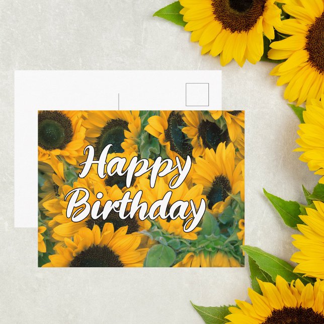 Sunflowers Happy Birthday Postcard (Creator Uploaded)