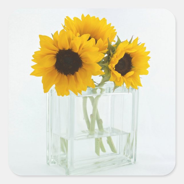 Sunflowers in a Vase stickers (Front)