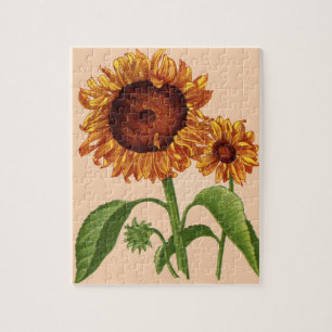 sunflowers jigsaw puzzle