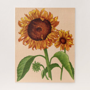 sunflowers jigsaw puzzle