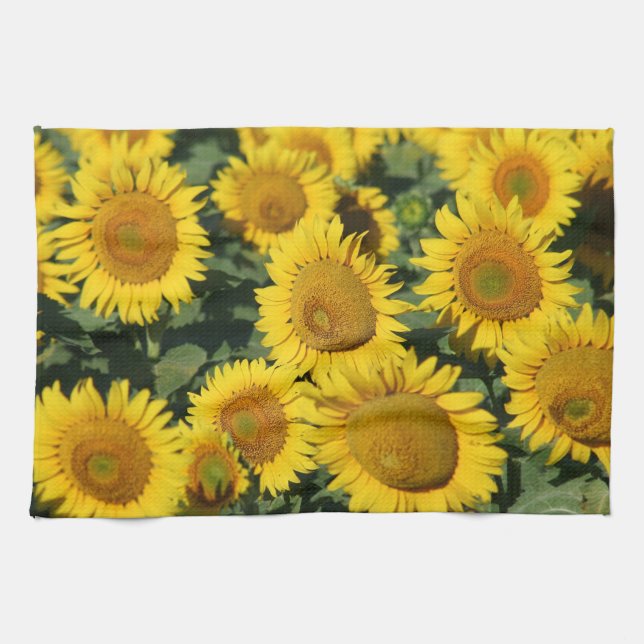 Sunflowers Kitchen Towel 16" x 24" (Horizontal)