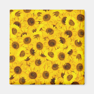 Sunflowers Magnet