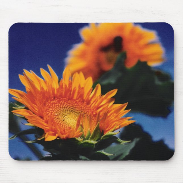 Sunflowers Mouse Pad (Front)