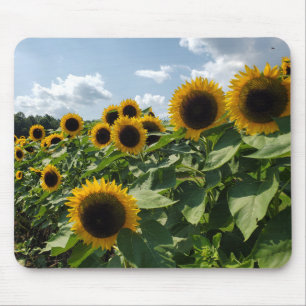 Sunflowers Mouse Pad