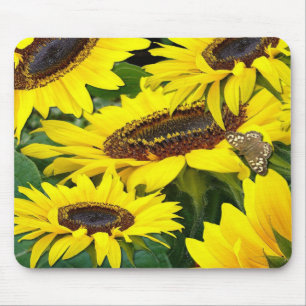 SUNFLOWERS ~  Mousepad