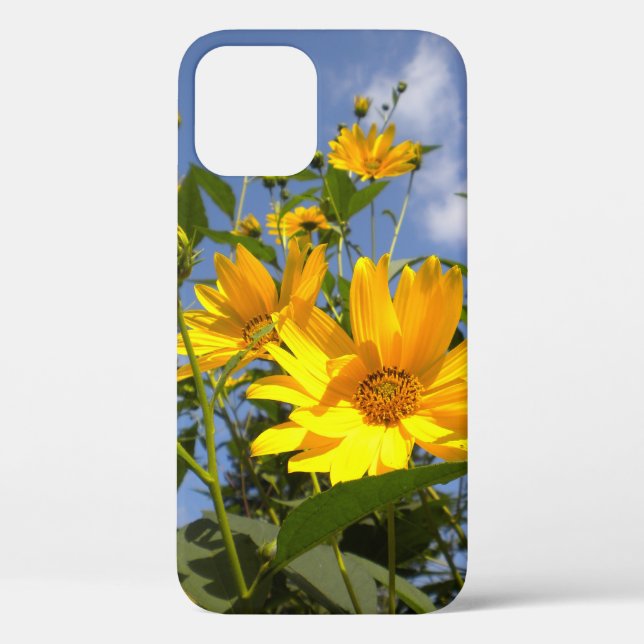 Sunflowers n Sky Case-Mate iPhone Case (Back)