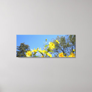 Sunflowers N Sky wrapped Canvas Print