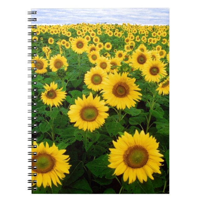 Sunflowers Notebook (Front)