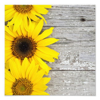 Sunflowers on a Table Photo Print