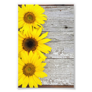 Sunflowers on a table photo print