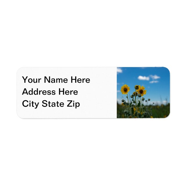 Sunflowers on Blue Sky (Front)