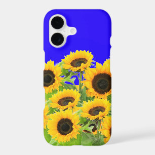 Sunflowers On Blue Sky iPhone Case
