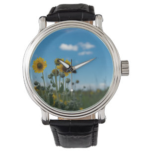 Sunflowers on Blue Sky Watch